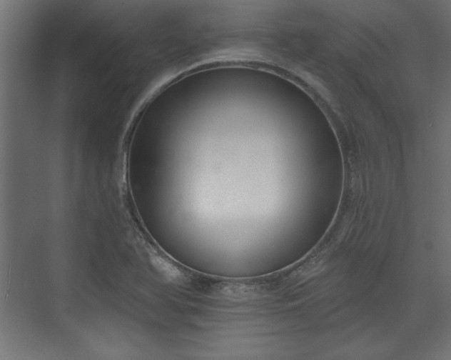 X0000073951366200608281204