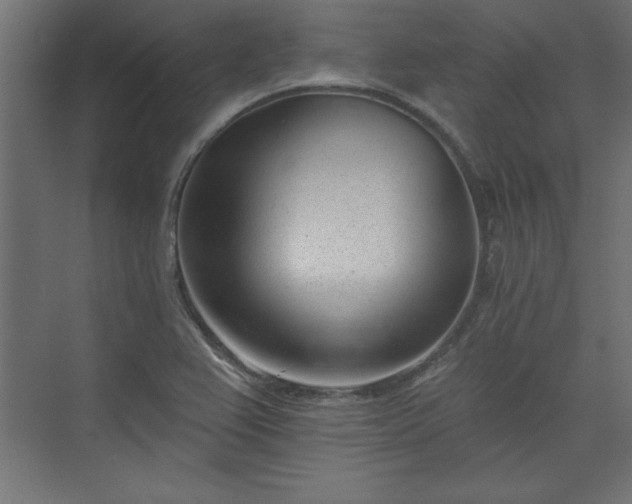 X0000073951367200608281204