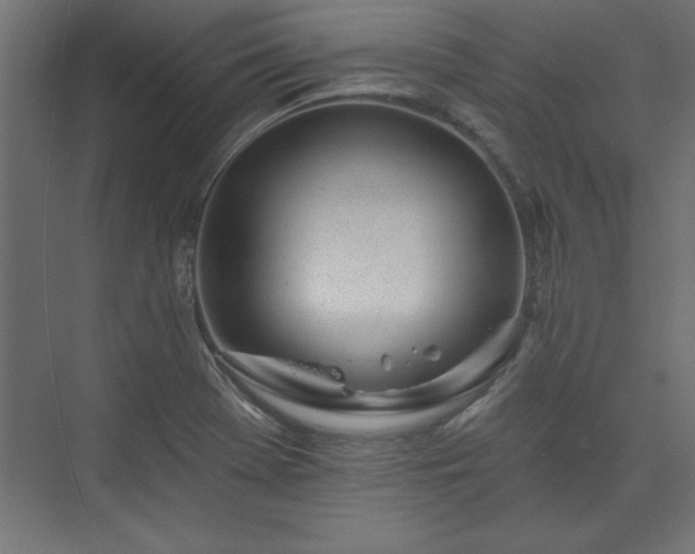 X0000073951369200608281204
