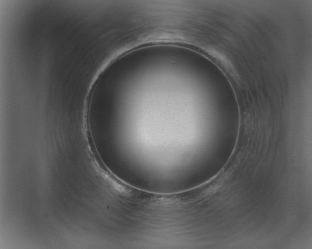 X0000073951374200608281204
