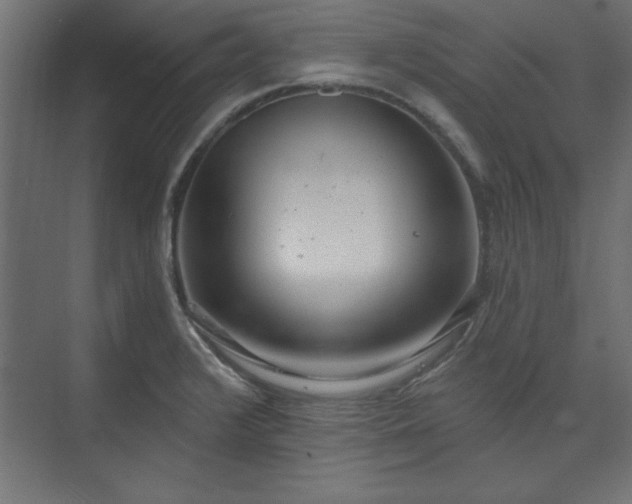X0000073951376200608281204