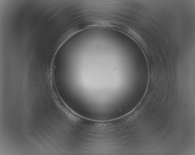 X0000073951378200608281204