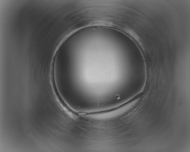 X0000073951379200608281204