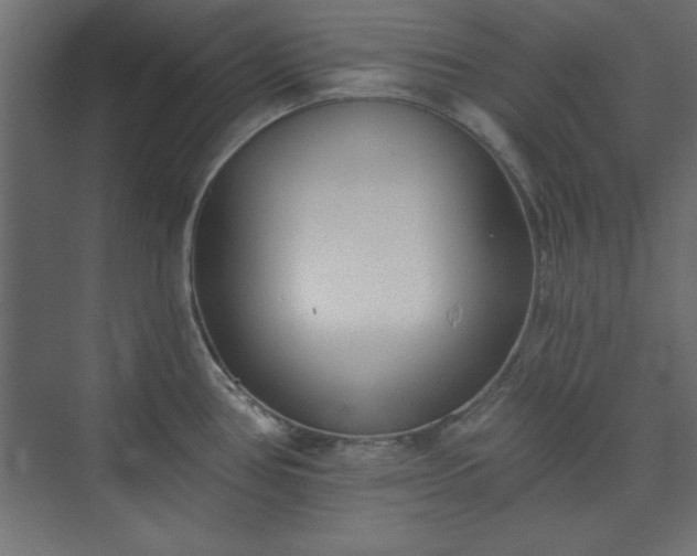 X0000073951386200608281204