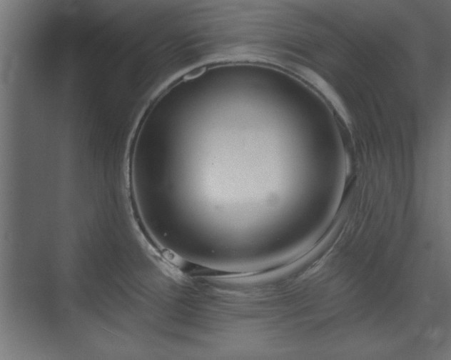 X0000073951388200608281204