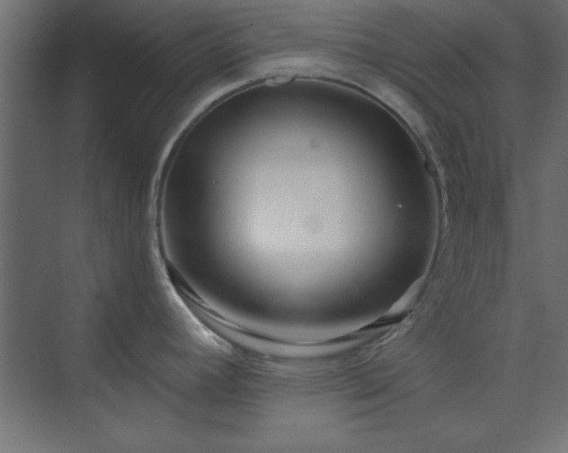 X0000073951392200608281204