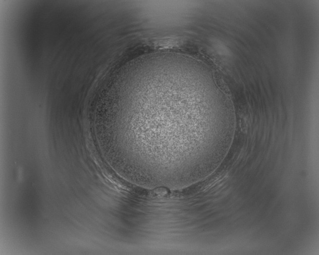 X0000073951393200608281203