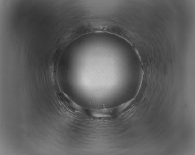 X0000073951394200608281203
