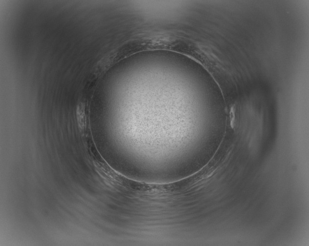 X0000073951395200608281203