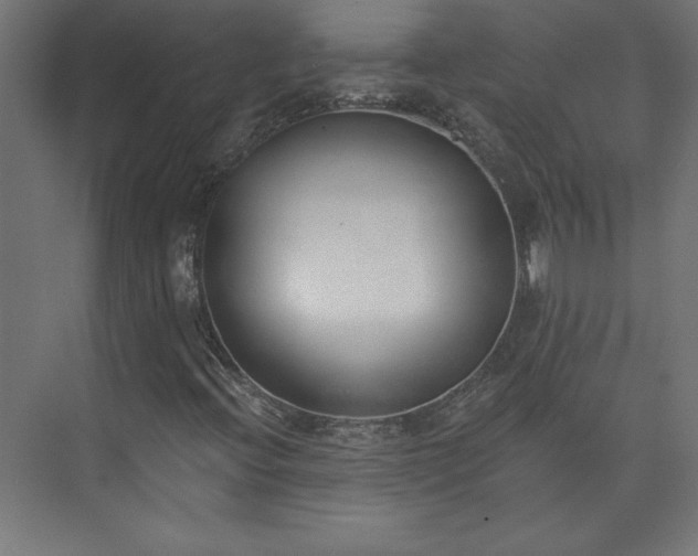 X0000073951396200608281203