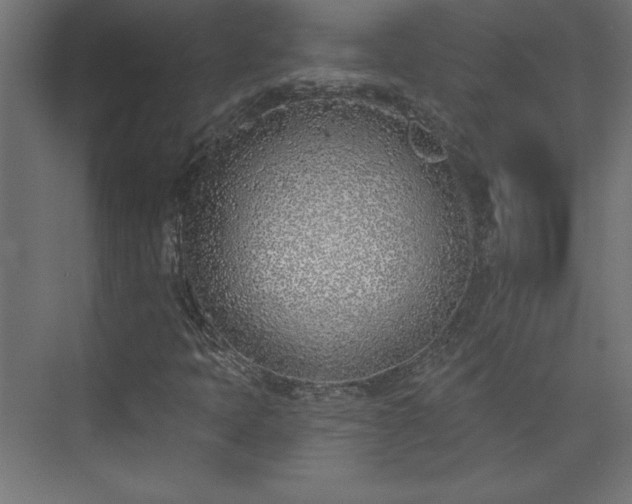 X0000073951397200608281203