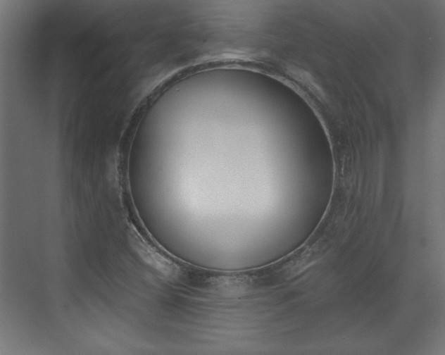 X0000073951404200608281203