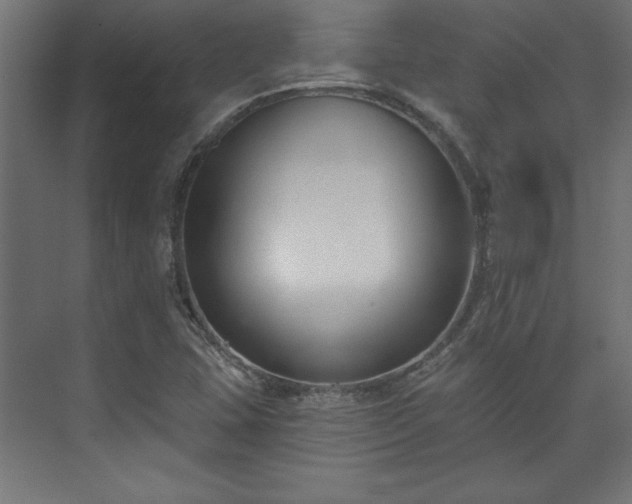 X0000073951407200608281203