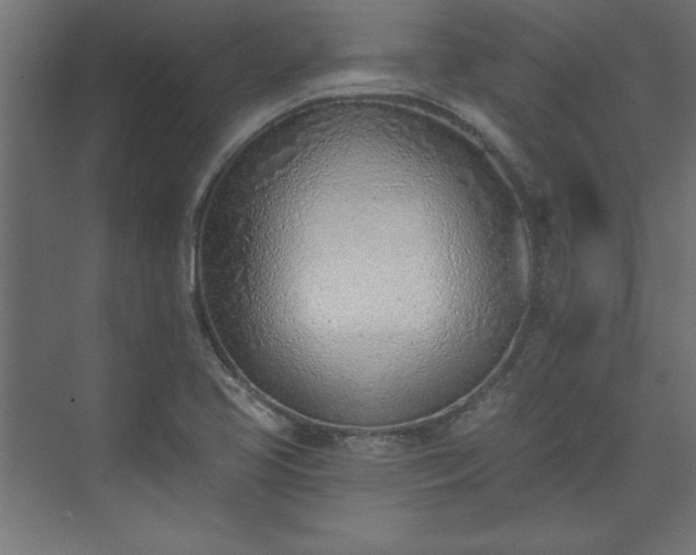 X0000073951413200608281203