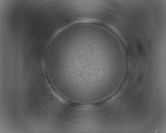 X0000073951417200608281203