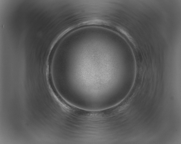 X0000073951418200608281203