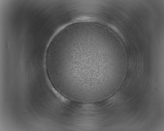 X0000073951421200608281203