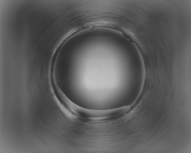 X0000073951426200608281203