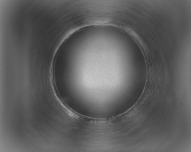 X0000073951432200608281203