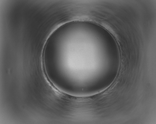 X0000073951440200608281203