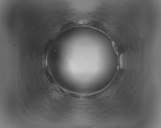 X0000073951443200608281203