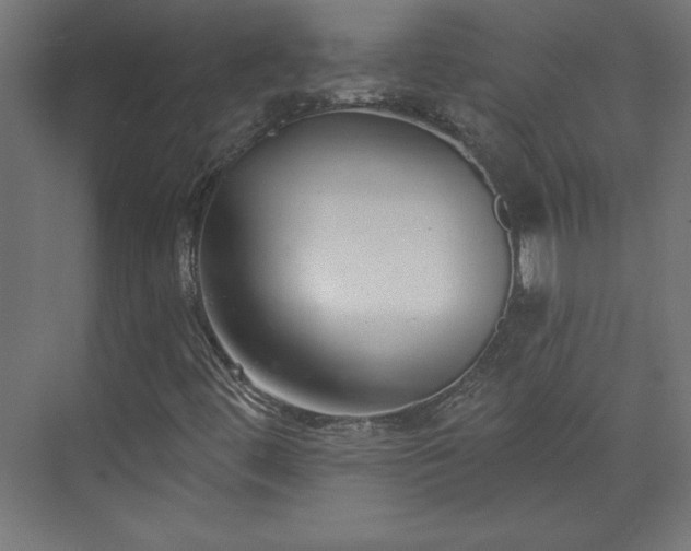 X0000073951444200608281203