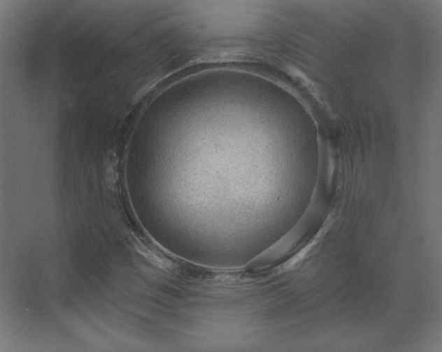 X0000073951449200608281203