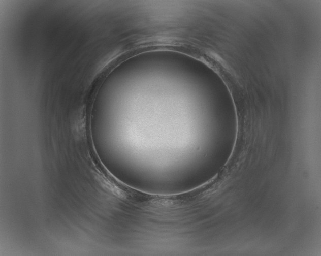 X0000073951450200608281203