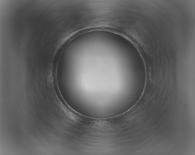 X0000073951452200608281203