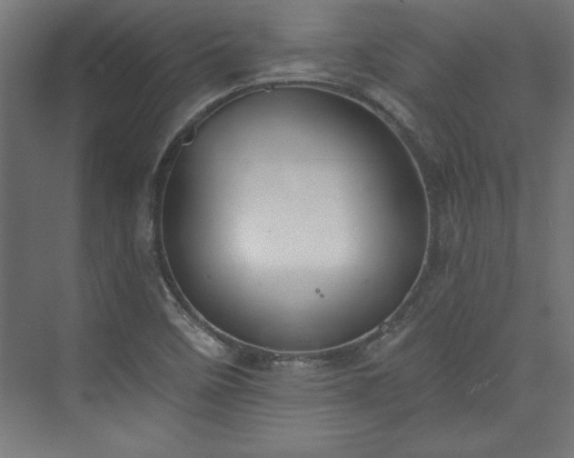 X0000073951458200608281202