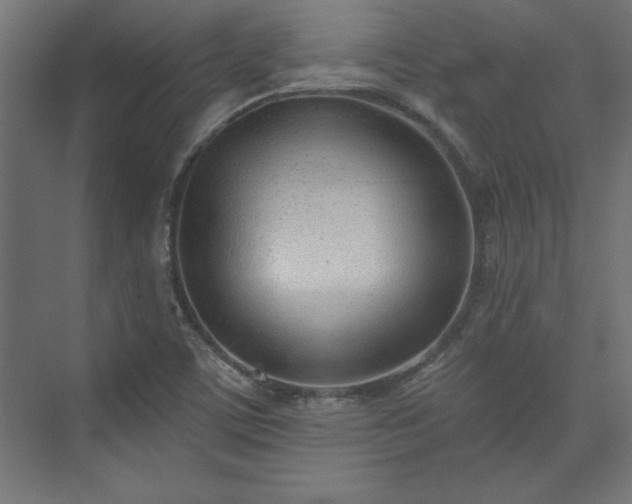X0000073951459200608281202