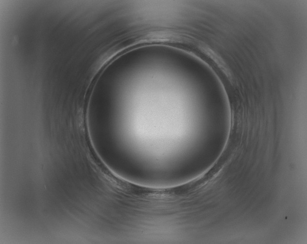 X0000073951465200608281202
