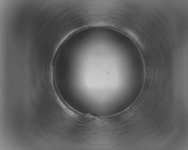 X0000073951476200608281202