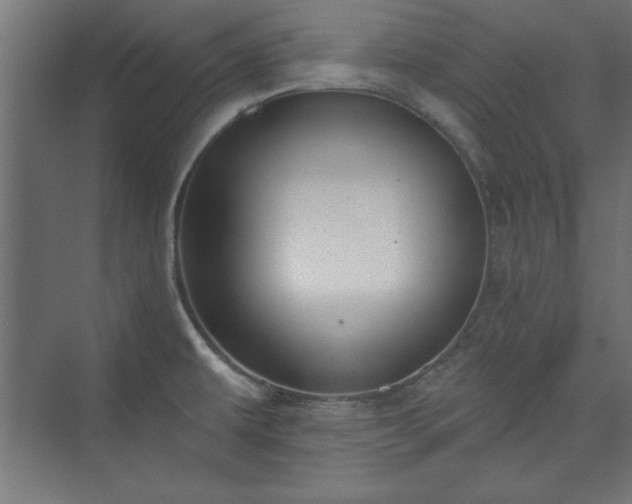 X0000073951479200608281202