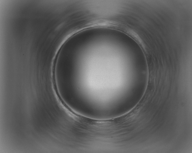 X0000073951483200608281202