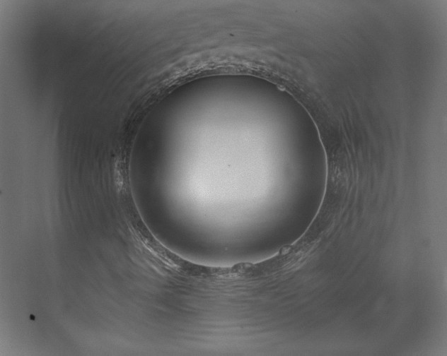X0000073951490200608281201