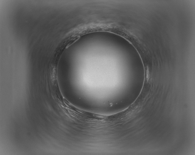 X0000073951492200608281201