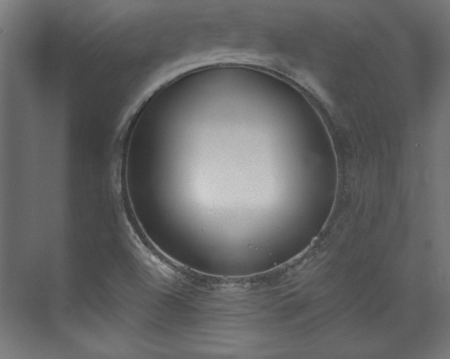X0000073951504200608281201
