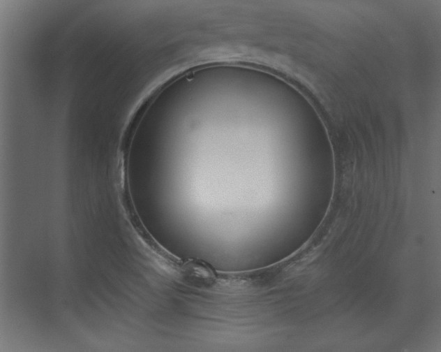 X0000073951509200608281201