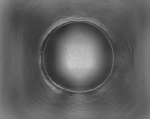 X0000073951511200608281201