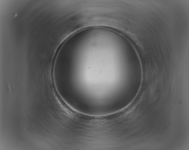X0000073951513200608281201