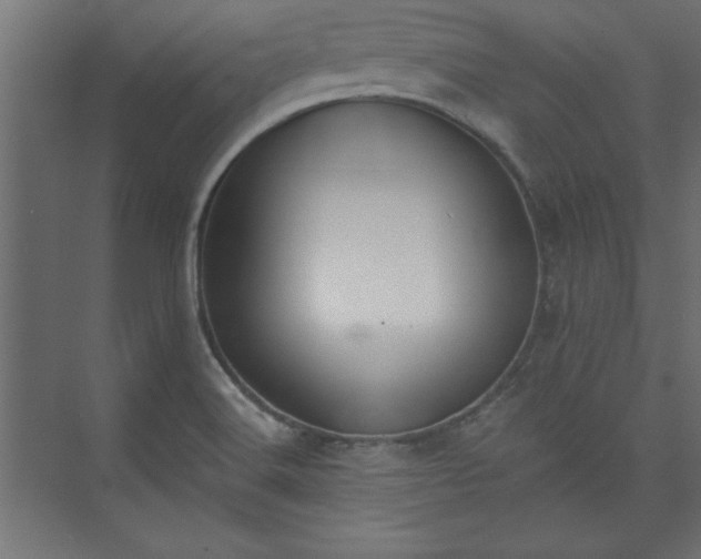 X0000073951516200608281202
