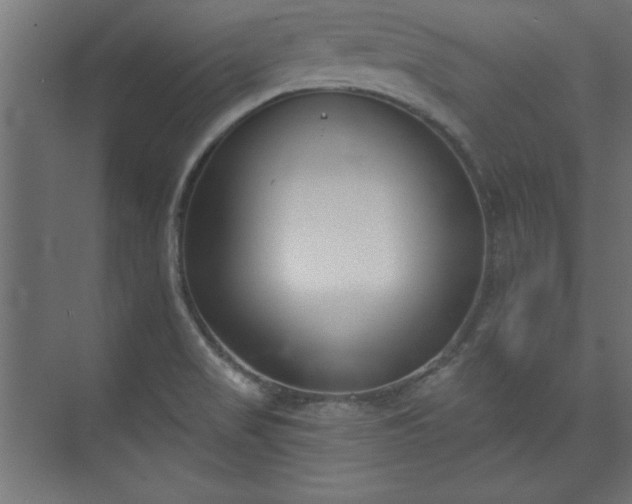 X0000073951517200608281202