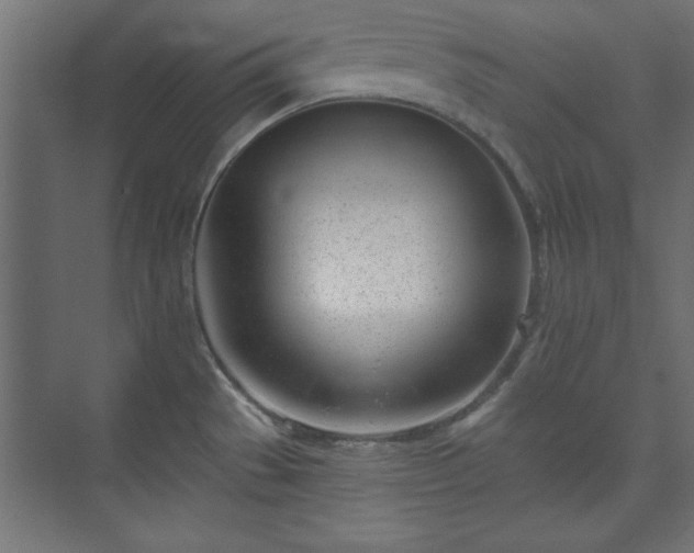 X0000073951529200608281202