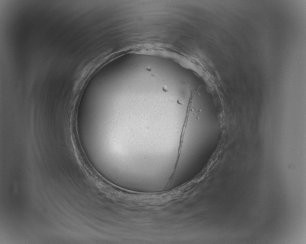 X0000073950001200609051805