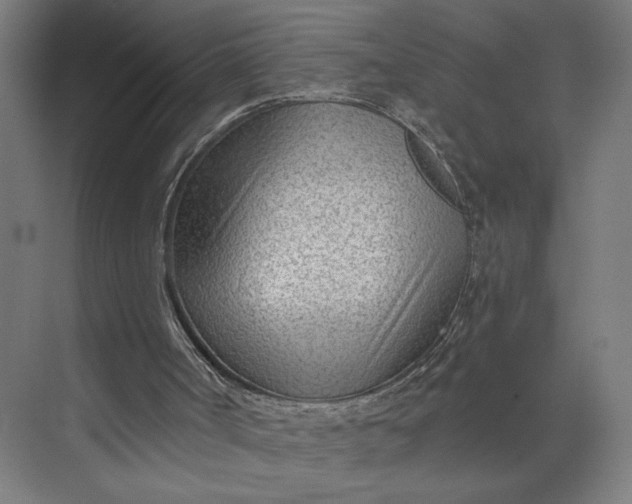 X0000073950002200609051805