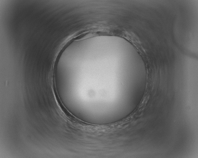 X0000073950003200609051805