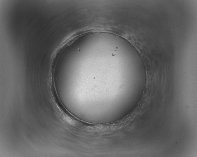 X0000073950005200609051805