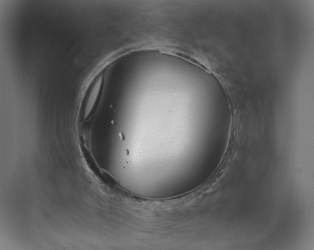 X0000073950007200609051805