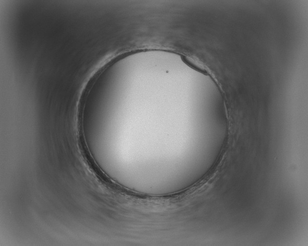 X0000073950008200609051805